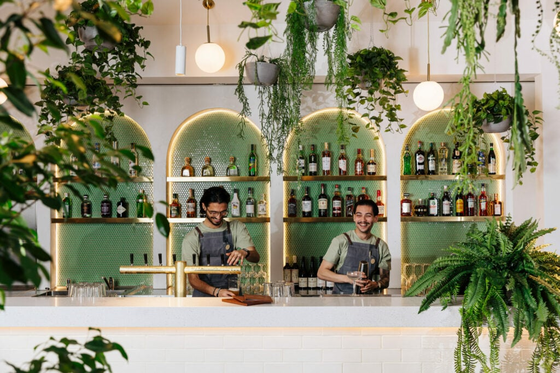 Australian Venue Co.