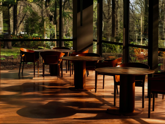 Project Update | Yiaga Melbourne