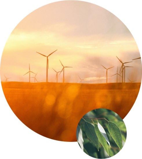 Sustainability at COVA