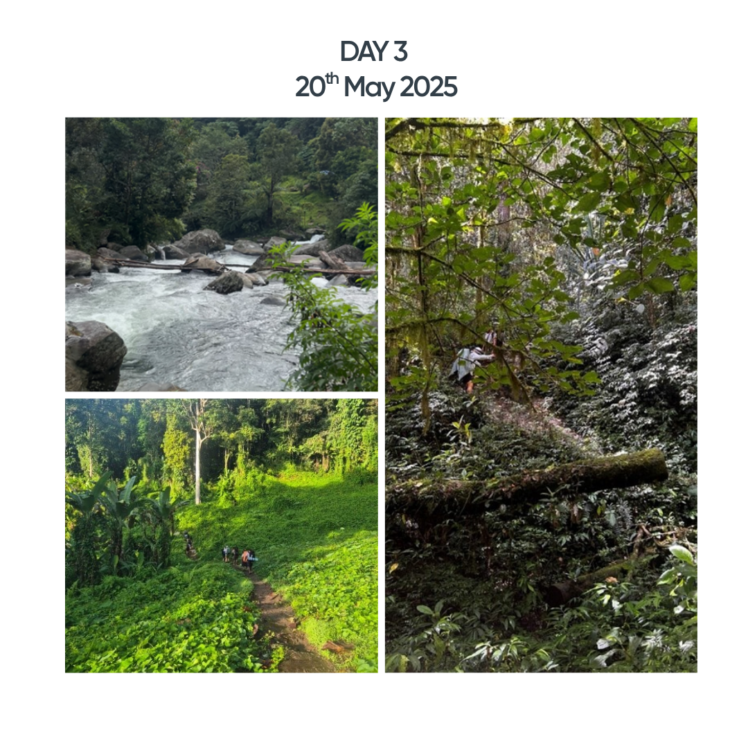 Tim Takes on Kokoda - photo 3
